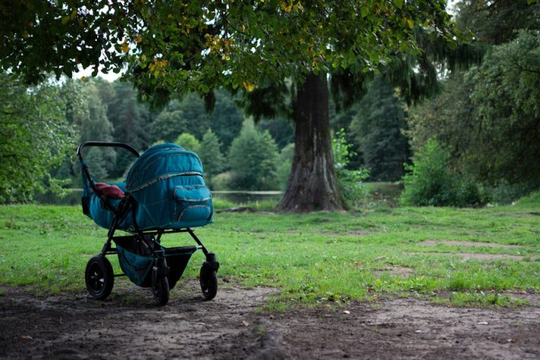 Baby stroller in a calm park setting